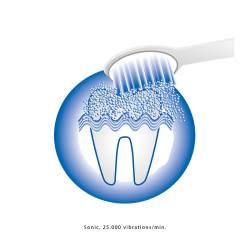 Brosse à dent électrique Proficare PC-EZS 3000 Blanc