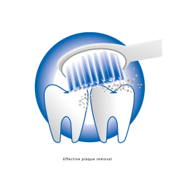 Proficare PC-EZS 3000 electric toothbrush White